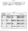 Fig. 10 - Group management system, server system and program therefor