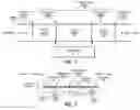 Fig. 03 - Synchronizing data between different editor views