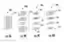 Fig. 06 - Dynamic slabbing to render views of medical image data