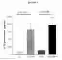 Fig. 02 - Methods and Compositions for Determining in vivo Activity of BiP