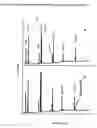 Fig. 04 - Method for the production of multiple-unsaturated fatty acids in transgenic organisms