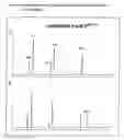 Fig. 16 - Method for the production of multiple-unsaturated fatty acids in transgenic organisms