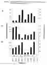 Fig. 28 - Method for the production of multiple-unsaturated fatty acids in transgenic organisms