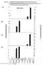 Fig. 29 - Method for the production of multiple-unsaturated fatty acids in transgenic organisms
