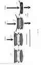 Fig. 09 - Energy-Absorbing Liners and Shape Conforming Layers for Use with Pro-Tective Headgear