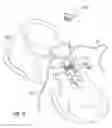 Fig. 09 - Apparatus and method for securely yet removably attaching ornaments to shoes, clothing, pet collars and the like
