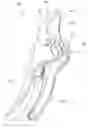 Fig. 01 - Flower shears