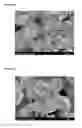 Fig. 02 - PROCESSES FOR THE HYDROTHERMAL PRODUCTION OF TITANUIM DIOXIDE