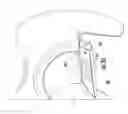 Fig. 24 - Method of tracheal intubation