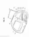 Fig. 06 - Hair retaining clip with deployable handles