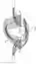 Fig. 07 - ACTIVE CABLE RESTORATION HARNESS