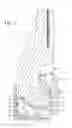 Fig. 03 - Drill bit with cutter element having crossing chisel crests