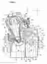 Fig. 03 - Power unit for a motorcycle, and motorcycle incorporating same