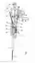Fig. 02 - Method for fitting a safety line cable on a tensioner
