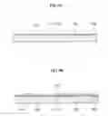Fig. 06 - Micro switch device and manufacturing method