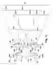 Fig. 09 - Illumination system including convex/concave lens for an imaging-based bar code reader