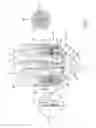 Fig. 03 - Electromagnetic fuel injector for a direct injection internal combustion engine