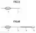 Fig. 05 - Modular sensor for damage detection, manufacturing method, and structural composite material
