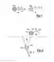 Fig. 02 - Neutron irradiative methods and systems