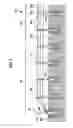 Fig. 02 - Cable barrier system