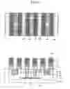 Fig. 07 - Semiconductor device having recess channel structure and method for manufacturing the same