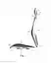 Fig. 04 - Body-supporting device