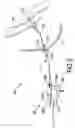 Fig. 04 - Auxiliary braking system for a vehicle