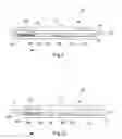 Fig. 07 - Drawer slide assembly