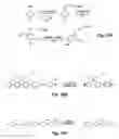 Fig. 07 - Heteroionic junction light emitting electrochemical cell