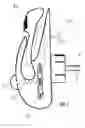 Fig. 01 - Plug-type charger for small electrical device