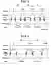 Fig. 04 - MR data acquisition method, MR image construction method, and MRI system