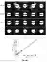 Fig. 05 - MRI data acquisition using propeller k-space data acquisition