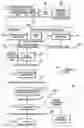 Fig. 01 - Object name service for RFID tags