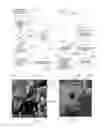 Fig. 04 - Animation control method for multiple participants