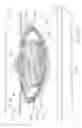 Fig. 89 - Nozzle arrangement with expandable actuator