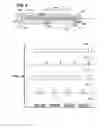 Fig. 03 - Inspection apparatus having illumination assembly