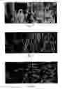 Fig. 09 - Generating output pixels of an output image from one or more input images using a set of motion vectors having a sub-pixel accuracy