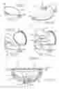 Fig. 02 - Protective eyewear