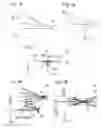 Fig. 02 - Laser projection apparatus