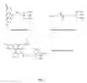 Fig. 02 - Phosphopeptide detection and surface enhanced Raman spectroscopy