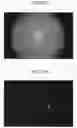 Fig. 06 - Low-light specimen image pickup unit and low-light specimen image pickup apparatus