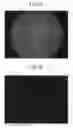 Fig. 09 - Low-light specimen image pickup unit and low-light specimen image pickup apparatus