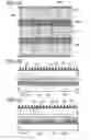 Fig. 06 - Antireflection film and display device