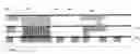 Fig. 01 - Structure and method for self aligned vertical plate capacitor