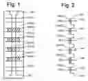 Fig. 02 - Retention margin program verification