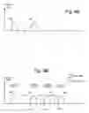 Fig. 07 - Retention margin program verification