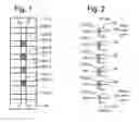 Fig. 02 - Non-volatile storage with adaptive body bias