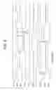 Fig. 09 - Semiconductor memory device operating a self refreshing and an auto refreshing