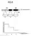 Fig. 09 - Information recording media, a method for recording/reproducing information, an apparatus for recording/reproducing information