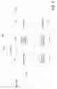 Fig. 05 - Data segmentation using shift-varying predicate function fingerprinting